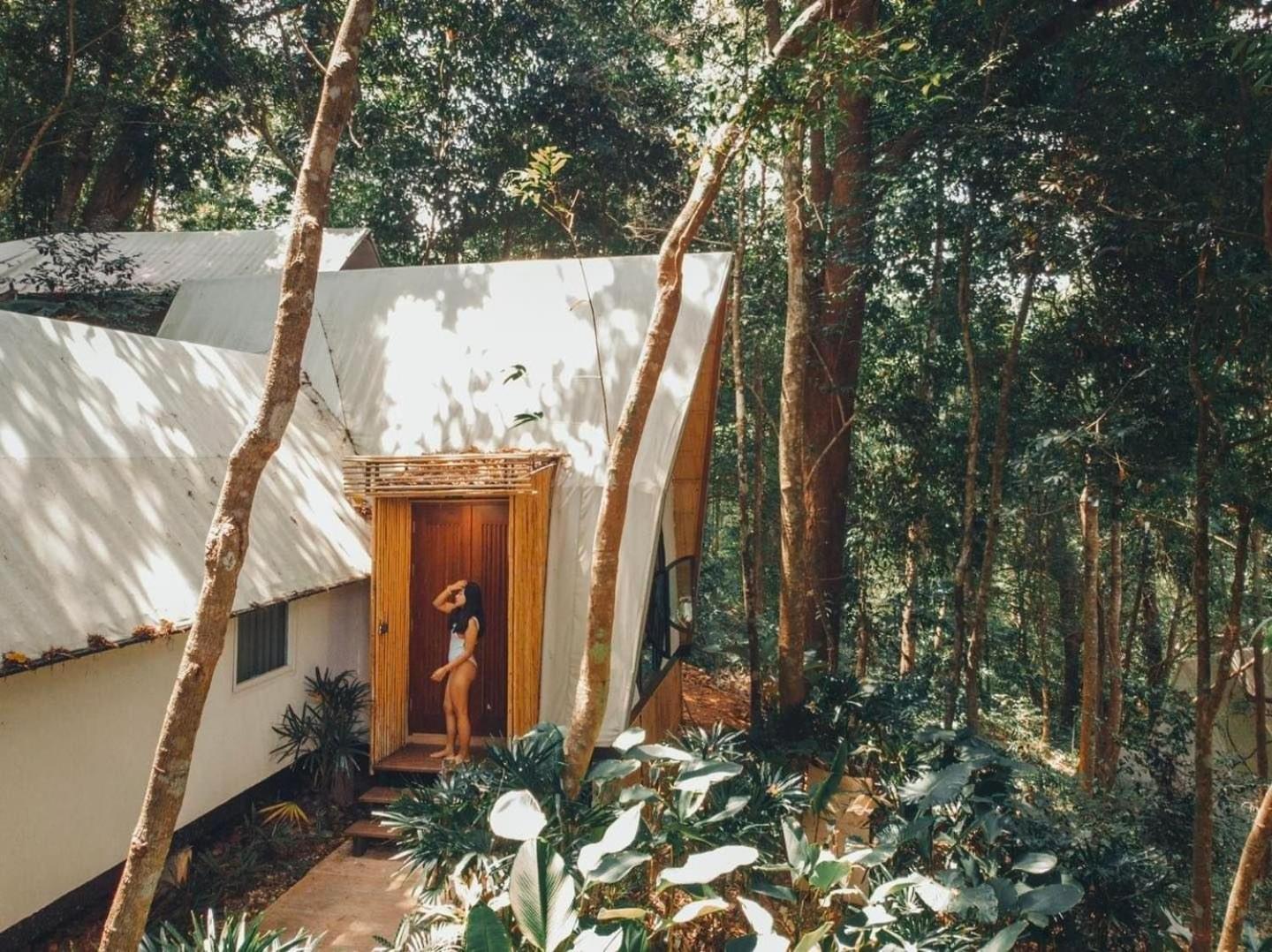 Lannawild Hotell Chiang Mai Rum bild