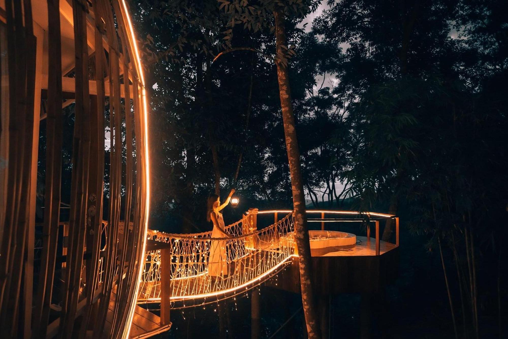 Lannawild Hotell Chiang Mai Rum bild