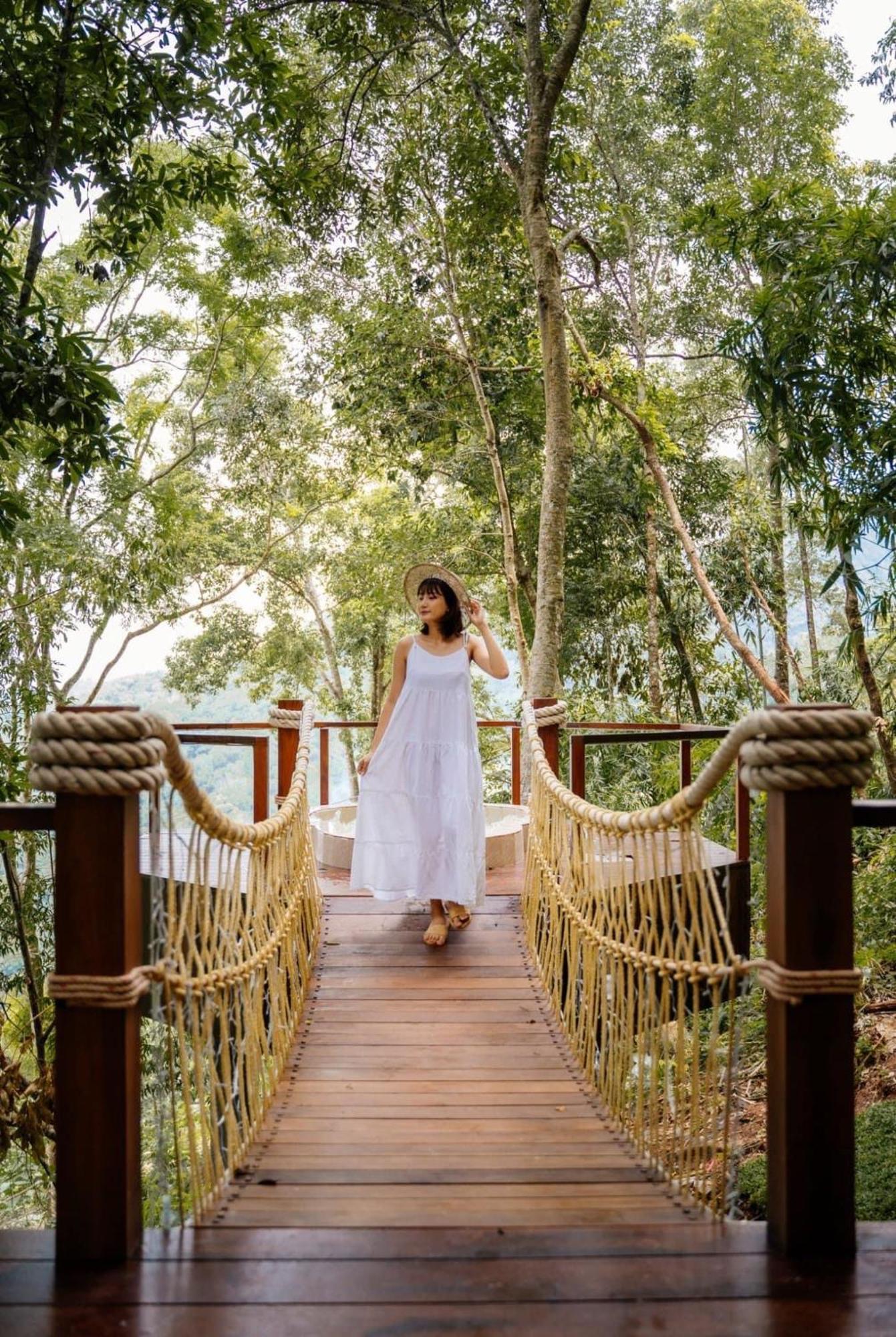 Lannawild Hotell Chiang Mai Rum bild