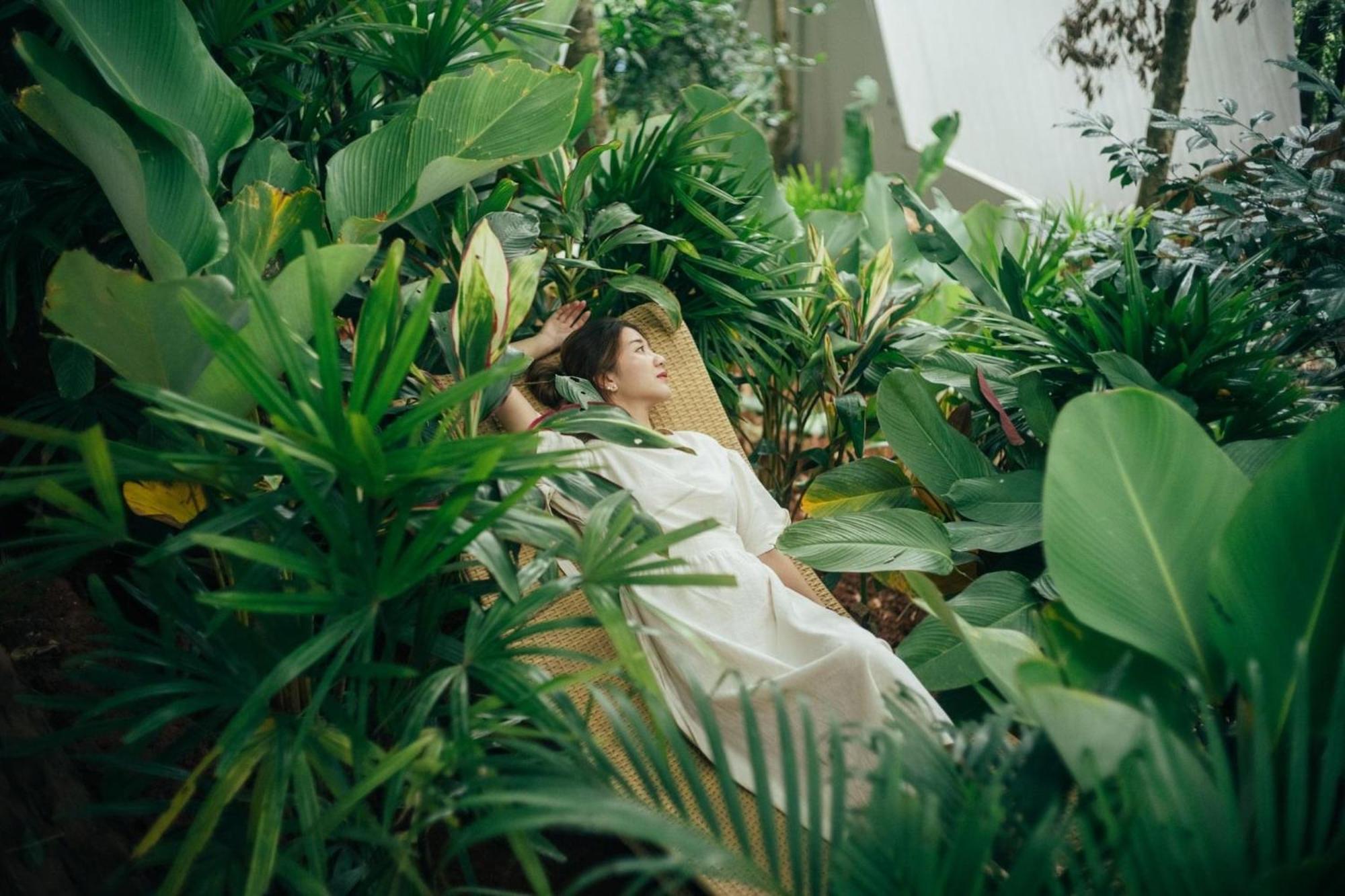 Lannawild Hotell Chiang Mai Rum bild